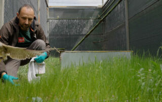 Veterinarios de Orthem atendieron a más de 3.800 ejemplares de especies autóctonas en el último año en el CRAS de Madrid