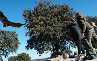 El número de águilas imperiales en Madrid se ha duplicado en la última década