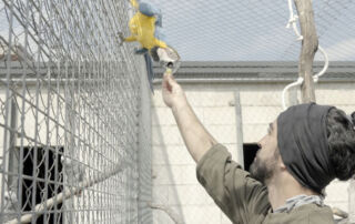 El CRAS de Madrid atiende un 20 por ciento más de animales en el último año