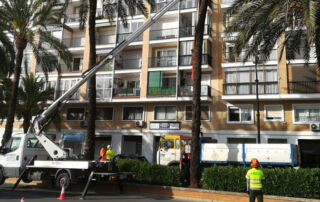 Actúa duplicará el número de profesionales del servicio de mantenimiento del arbolado de Denia