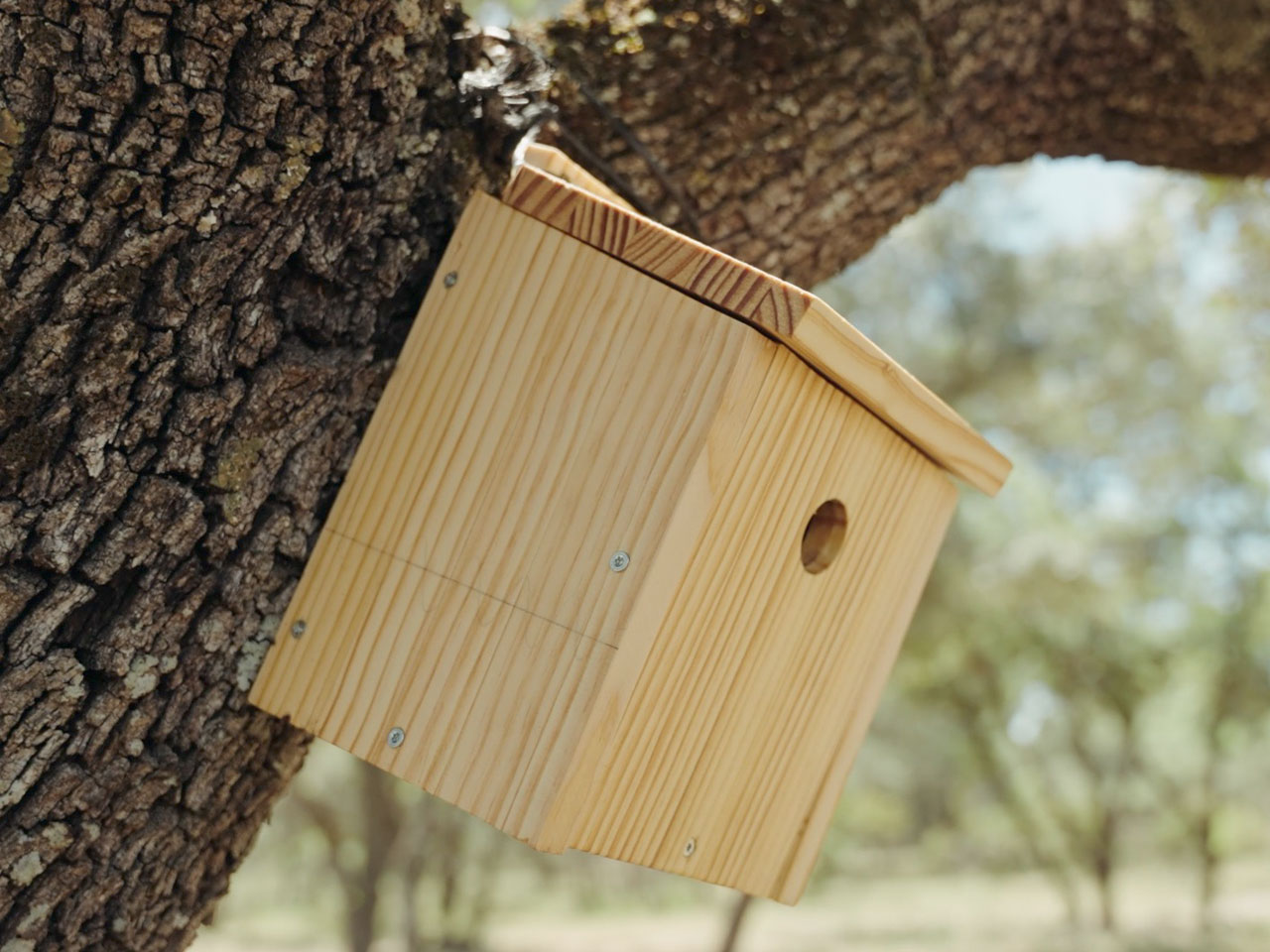 El CRAS colabora con la Fundación Lesionado Medular para la construcción de cajas nido