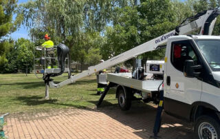 Actúa pone en marcha en la ciudad de Valladolid un servicio sostenible para el mantenimiento de parques y jardines