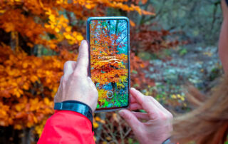 Cofrentes se convertirá en un Destino Turístico Inteligente de la mano de Digiltea