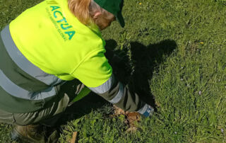 Profesionales de Actúa plantan 400 árboles junto a escolares en el parque de las Contiendas de Valladolid