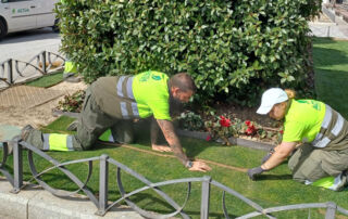 Actúa renueva el contrato del mantenimiento de zonas verdes en Torrejón de Ardoz