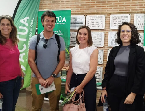 Expertos de España, Francia y Marruecos se reúnen en Orihuela para formar en la gestión de las palmeras