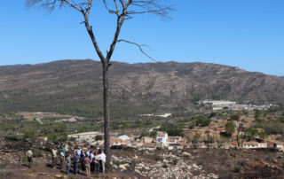 Las labores de recuperación tras el incendio forestal de Montitxelvo, en Valencia, ya están al 50% y finalizarán antes de lo previsto