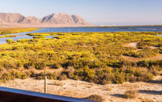 Hozono Global patrocina el Festival Otoño y Sal, nuevo referente cultural de Almería