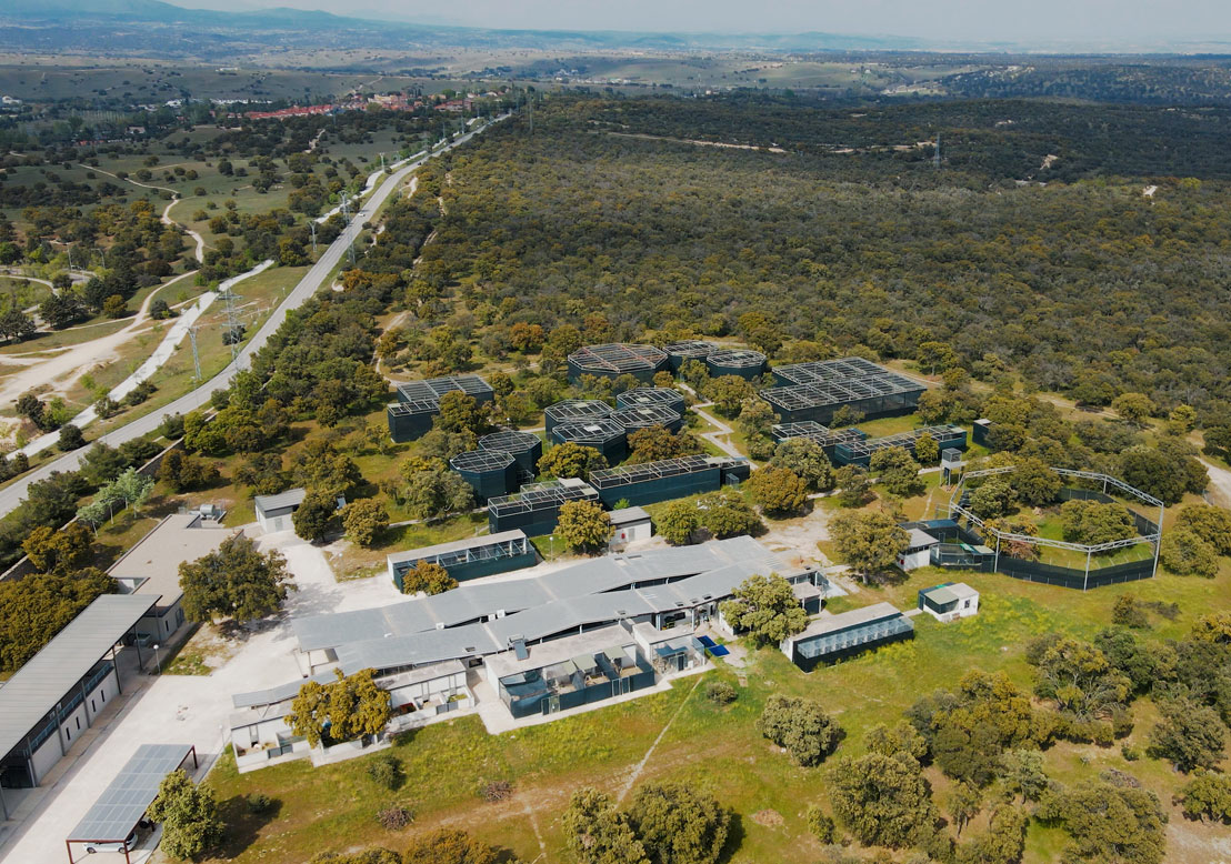 Orthem y la Universidad Complutense se unen para preservar la fauna silvestre de Madrid