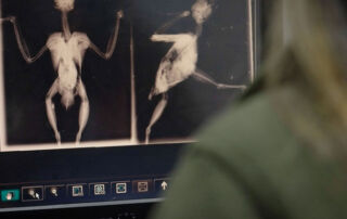 Orthem y la Universidad Complutense se unen para preservar la fauna silvestre de Madrid