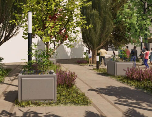 La reforma de la Plaza de Las Malvas creará un espacio más verde, accesible y moderno en Villena, Alicante