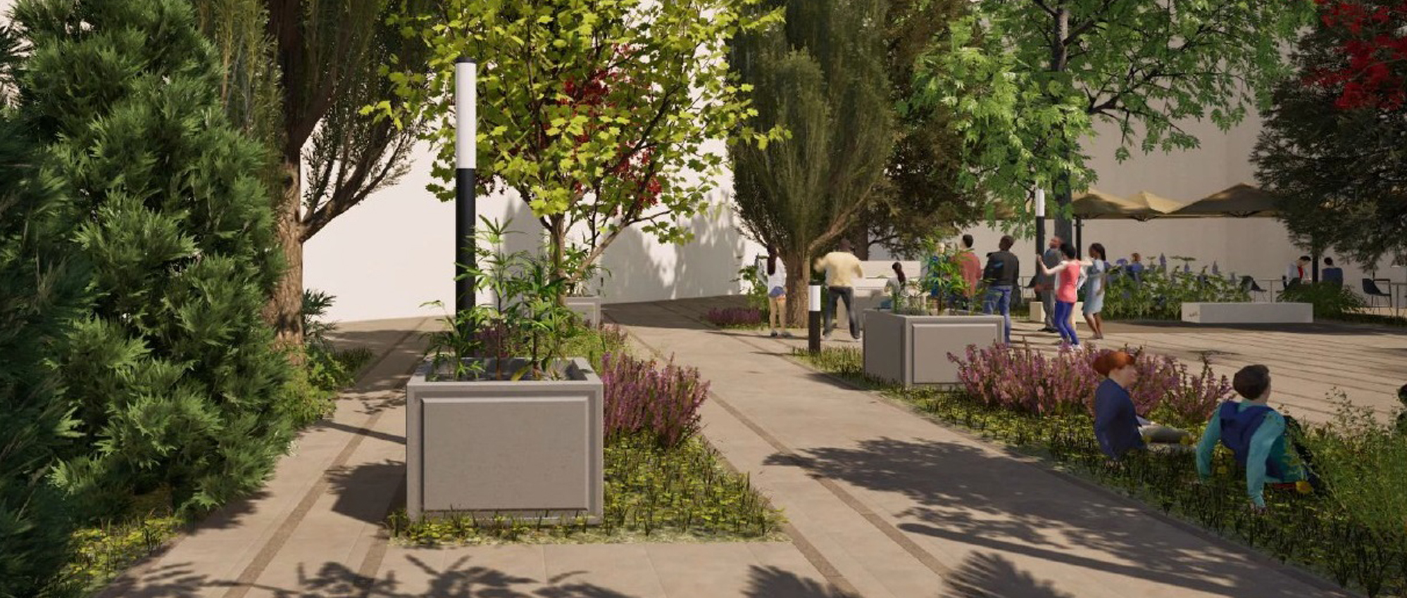 La reforma la Plaza de Las Malvas creará un espacio más verde, accesible y moderno en Villena, Alicante