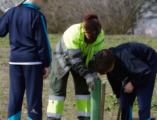 Escolares de Valladolid se suman a la reforestación del Parque de las Contiendas junto a profesionales de Actúa