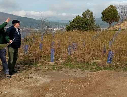 Orthem finaliza la restauración ambiental de la cantera de Navacerrada, en Madrid