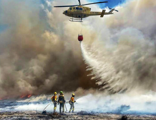 La Región de Murcia celebra el Día Internacional del Combatiente de Incendios Forestales