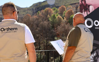 Los trabajos de regeneración forestal tras el incendio de Montitxelvo ya están prácticamente concluidos