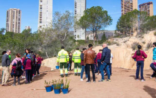 Un centenar de escolares de Benidorm plantan más de 200 especies autóctonas en El Moralet