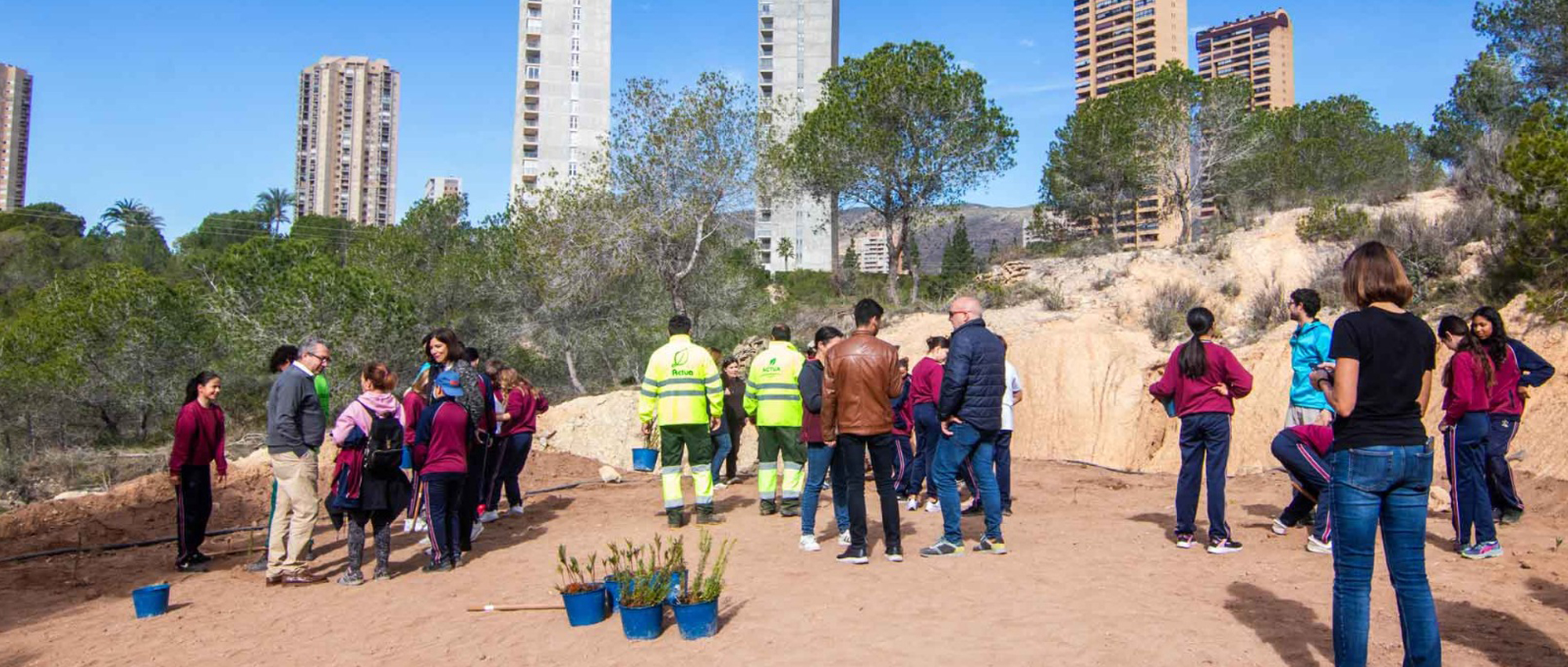 Un centenar de escolares de Benidorm plantan más de 200 especies autóctonas en El Moralet