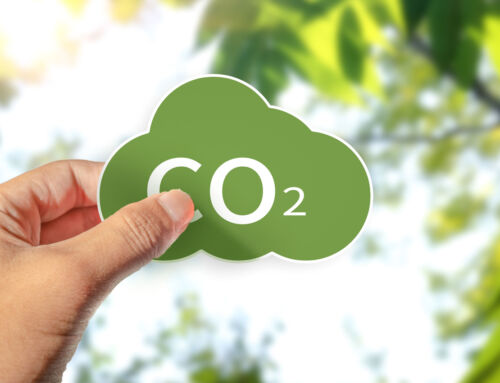 Life Token CO₂ reconocido por la Comisión Europea como innovación clave en acción climática