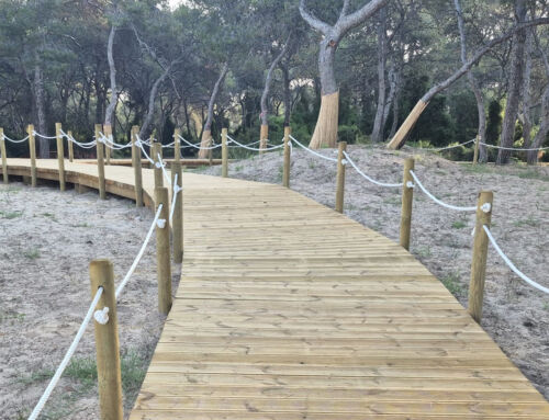 Orthem encara la recta final de las obras de recuperación ecológica del Pouet de El Saler, en Valencia