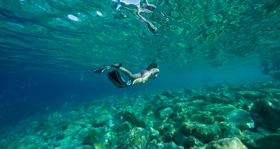 Villajoyosa organiza una ruta de snorkel para poner en valor las playas urbanas como ecosistemas naturales