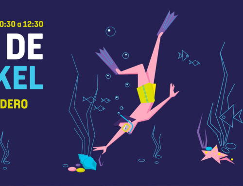 Villajoyosa organiza una ruta de snorkel para poner en valor las playas urbanas como ecosistemas naturales