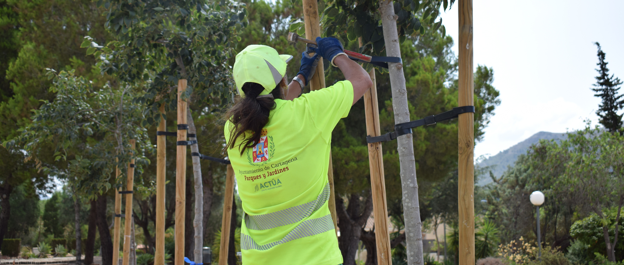Actúa refuerza la limpieza viaria y de espacios públicos en Olivares, en Sevilla