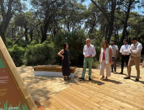 Orthem culmina la restauración de Pouet de El Saler, en Valencia, con criterios ecológicos y paisajísticos