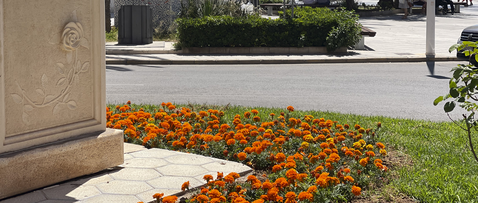 Torrevieja continúa mejorando sus zonas verdes con actuaciones de mantenimiento y renovación