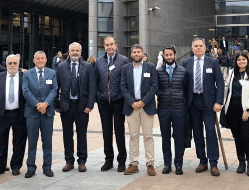 Hozono Global impulsa en Bruselas un diálogo sobre la normativa europea del transporte sanitario