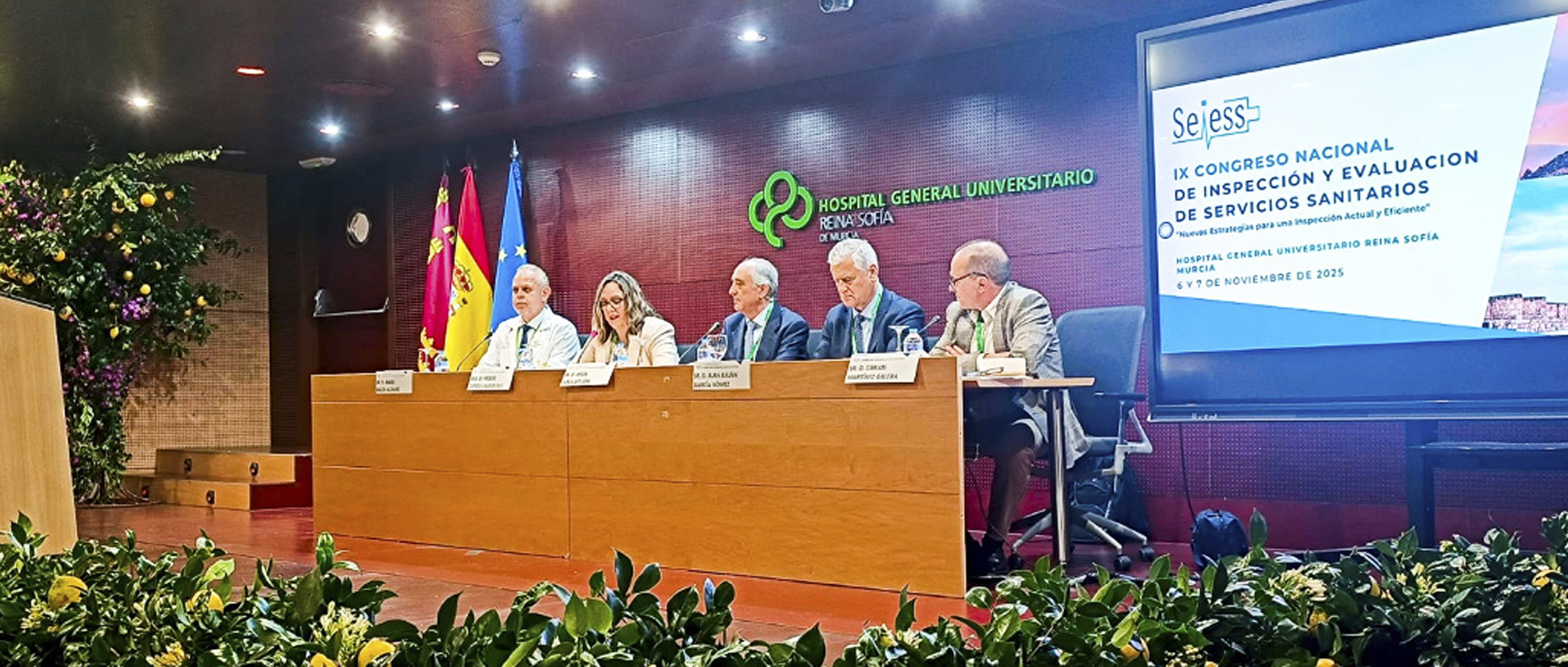 Ambex participa en el IX Congreso Nacional de Inspección y Evaluación de Servicios Sanitarios