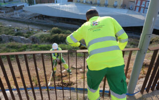 El Ayuntamiento de Cartagena restaura el talud del Molinete con especies autóctonas