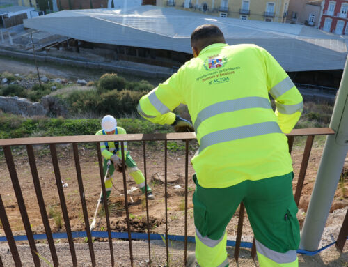 El Ayuntamiento de Cartagena restaura el talud del Molinete con especies autóctonas