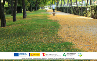 Islantilla adapta sus zonas verdes al cambio climático con vegetación más resistente y telegestión del riego