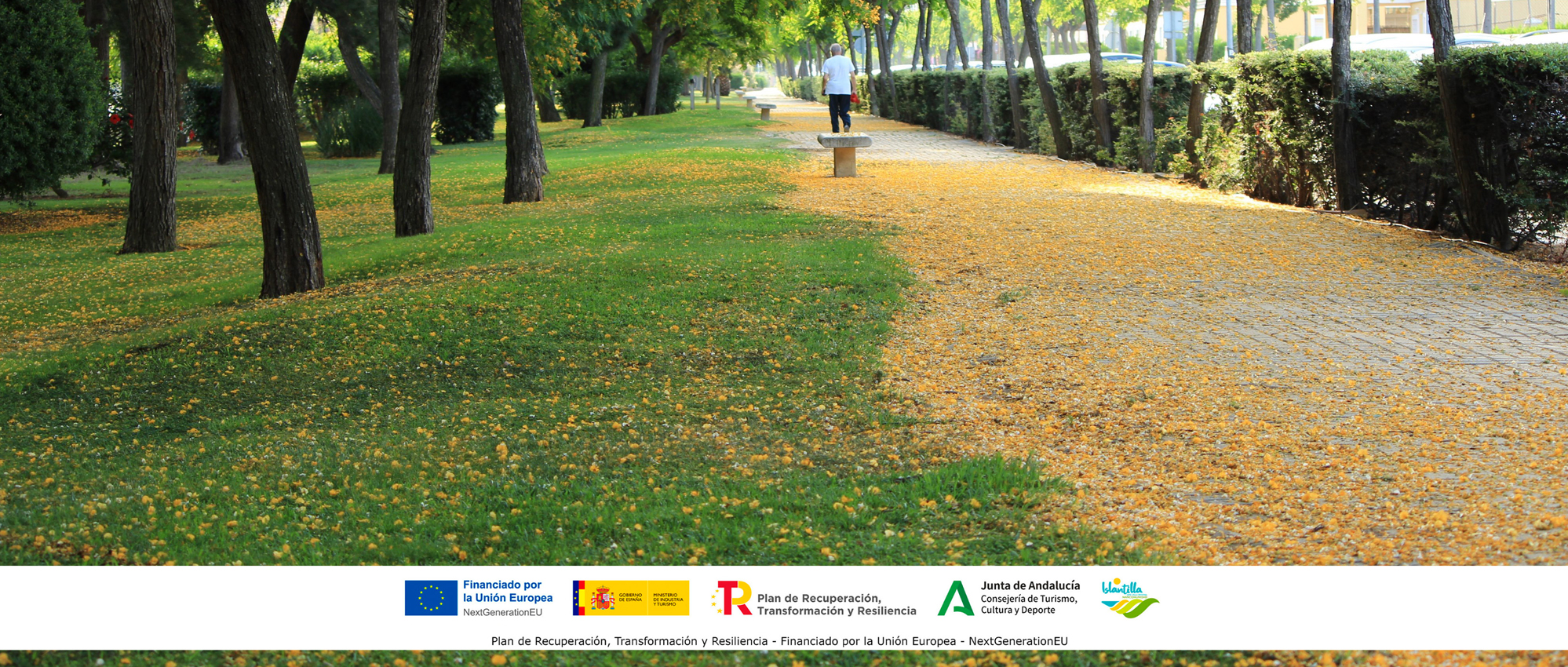 Islantilla adapta sus zonas verdes al cambio climático con vegetación más resistente y telegestión del riego