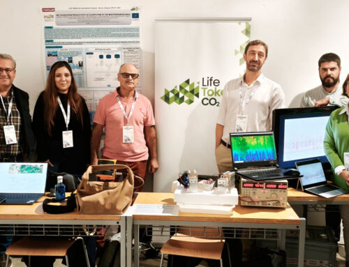 Life Token CO₂ exhibe en ‘TransformaCLM 2025’ su plataforma para medir, certificar y monetizar la absorción de CO₂ en masas forestales