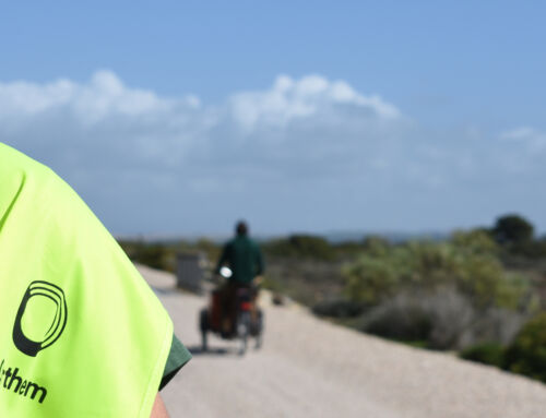 Parque de los Toruños: formación y prevención para proteger un espacio natural clave en Cádiz