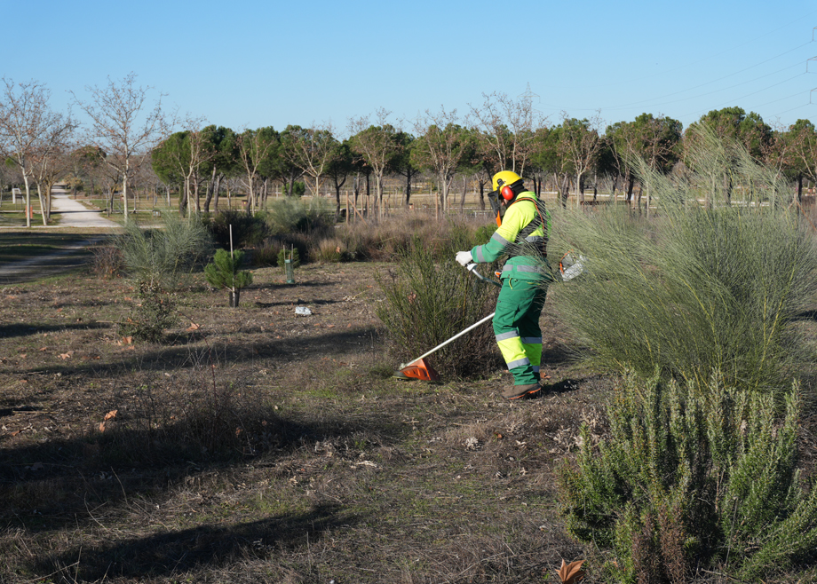 Polvoranca: el gran parque del sur de Madrid se renueva para seguir siendo esencial Polvoranca: el gran parque del sur de Madrid se renueva para seguir siendo esencial
