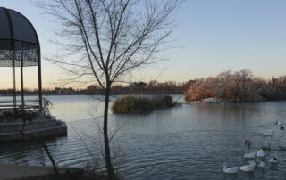 Polvoranca: el gran parque del sur de Madrid se renueva para seguir siendo esencial