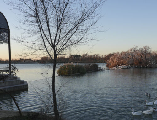 Polvoranca: el gran parque del sur de Madrid se renueva para seguir siendo esencial