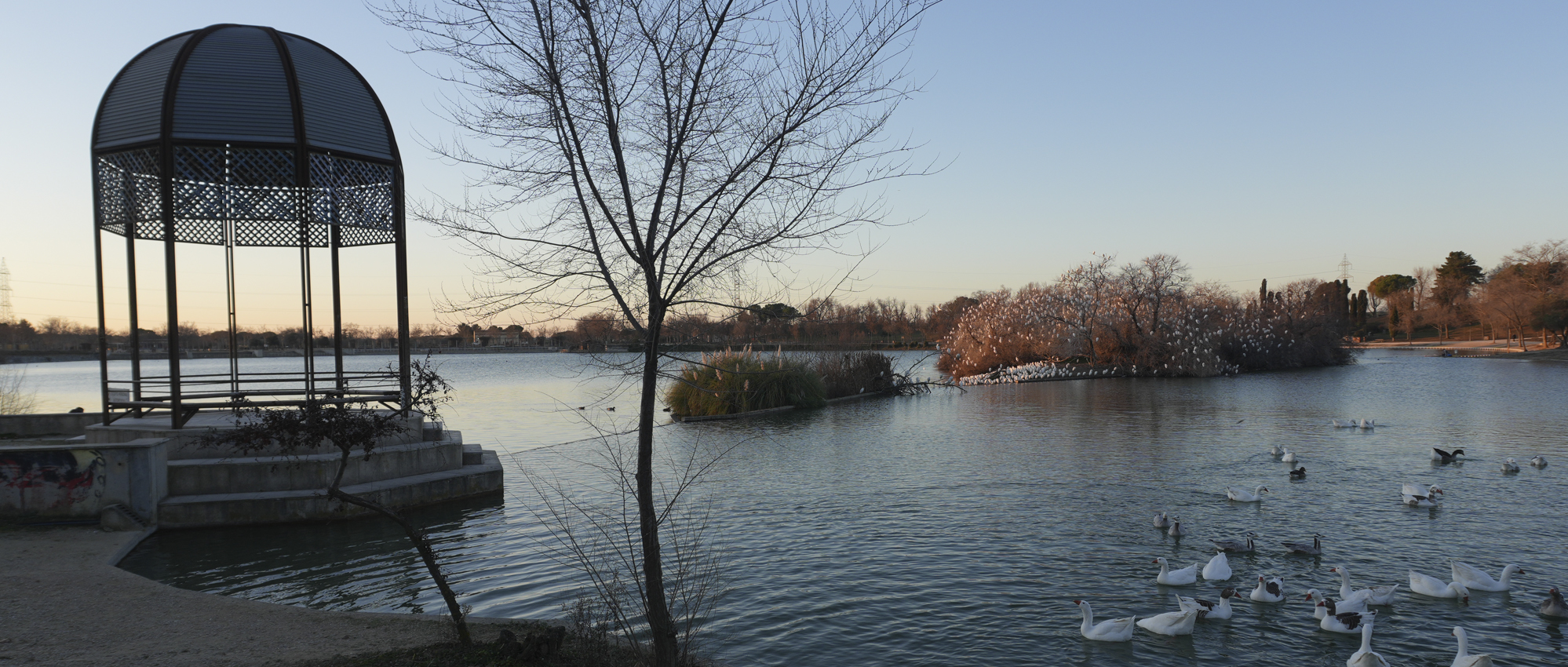Polvoranca: el gran parque del sur de Madrid se renueva para seguir siendo esencial