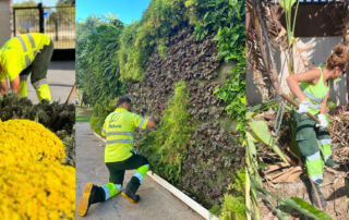 Benidorm avanza hacia una ciudad más verde y sostenible con el nuevo servicio de mantenimiento de zonas verdes