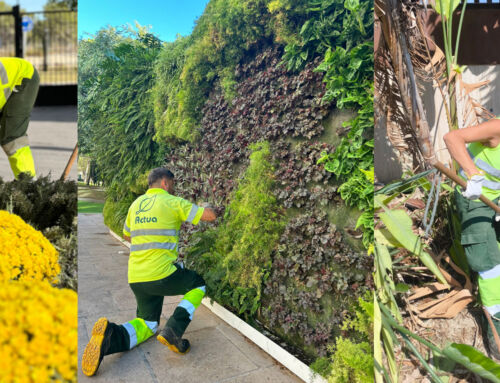 Benidorm avanza hacia una ciudad más verde y sostenible con el nuevo servicio de mantenimiento de zonas verdes