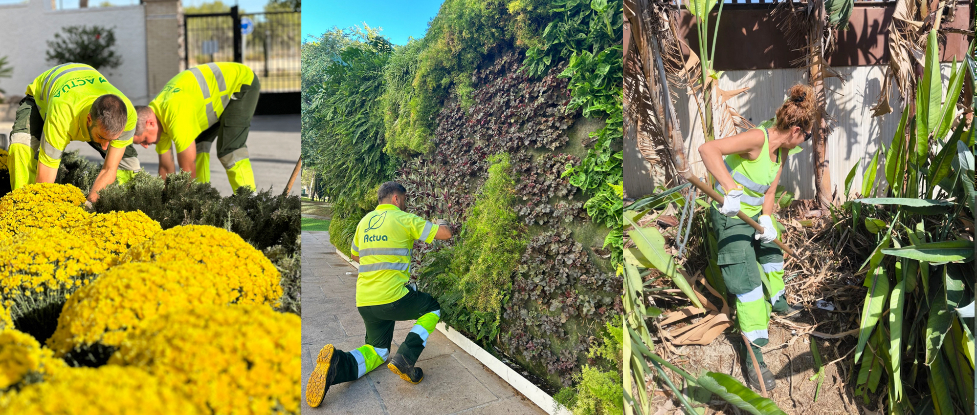 Benidorm avanza hacia una ciudad más verde y sostenible con el nuevo servicio de mantenimiento de zonas verdes