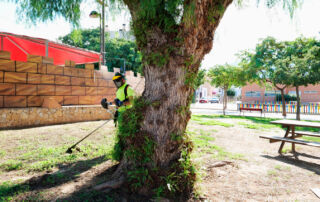 Cartagena refuerza el mantenimiento y embellecimiento de sus barrios para mejorar el entorno urbano