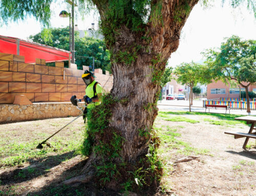 Cartagena refuerza el mantenimiento y embellecimiento de sus barrios para mejorar el entorno urbano