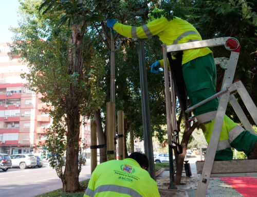 El Ayuntamiento de Cartagena cierra el año con más de 300 nuevos árboles plantados en todo el municipio