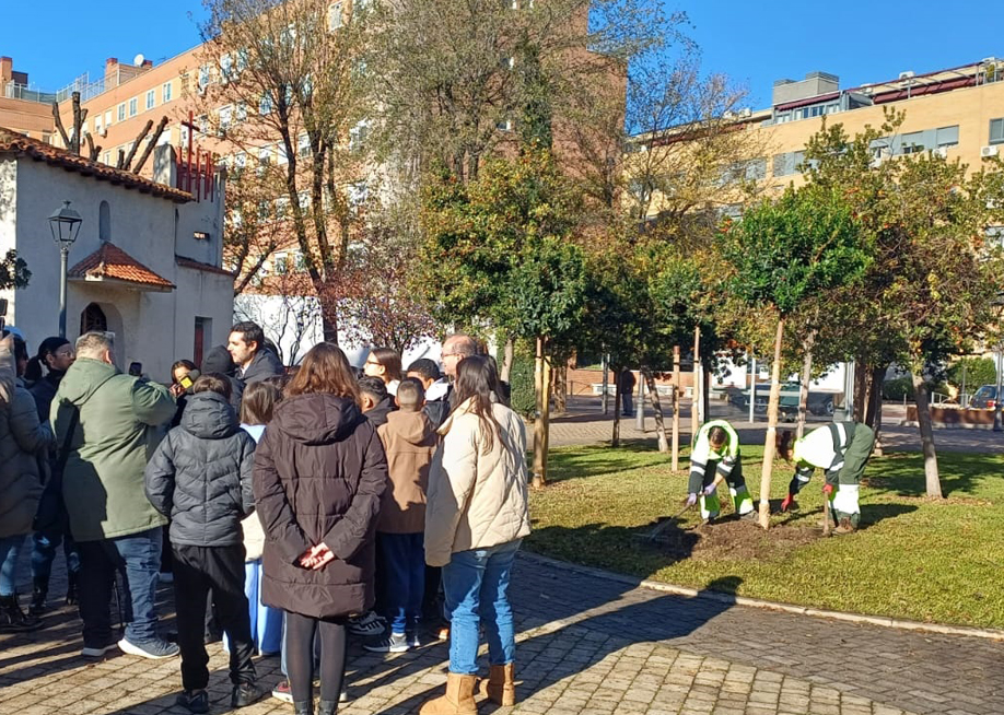 Un nuevo madroño para celebrar la Constitución en Torrejón de Ardoz
