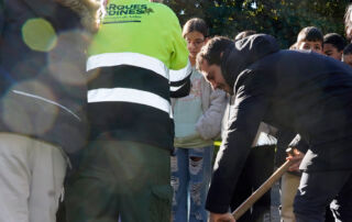 Un nuevo madroño para celebrar la Constitución en Torrejón de Ardoz