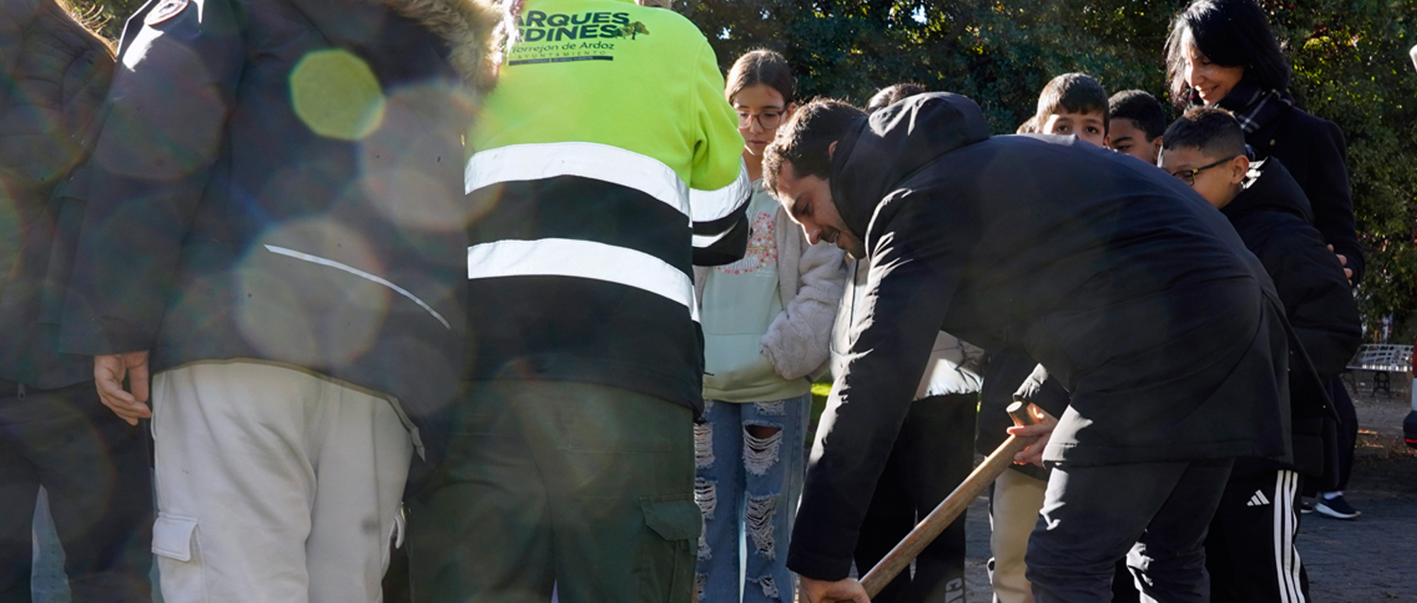 Un nuevo madroño para celebrar la Constitución en Torrejón de Ardoz